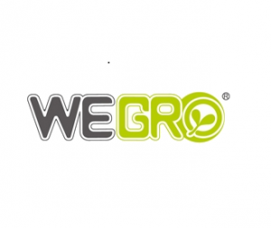 Wegro (КНР) Wegro (КНР)