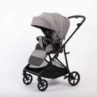 Прогулочная коляска Peppy Amici с реверсивным блоком