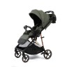 Прогулочная коляска Peppy Amici с реверсивным блоком
