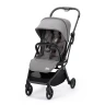 Коляска RECARO LEXA ELITE