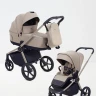 Коляска 2 в 1 RANT Flex Soft Therm 2026
