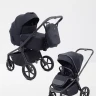 Коляска 2 в 1 RANT Flex Soft Therm 2026